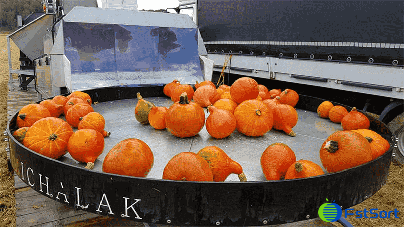 images/1771926521767Medium Pumpkin Weight Grading Machine.png